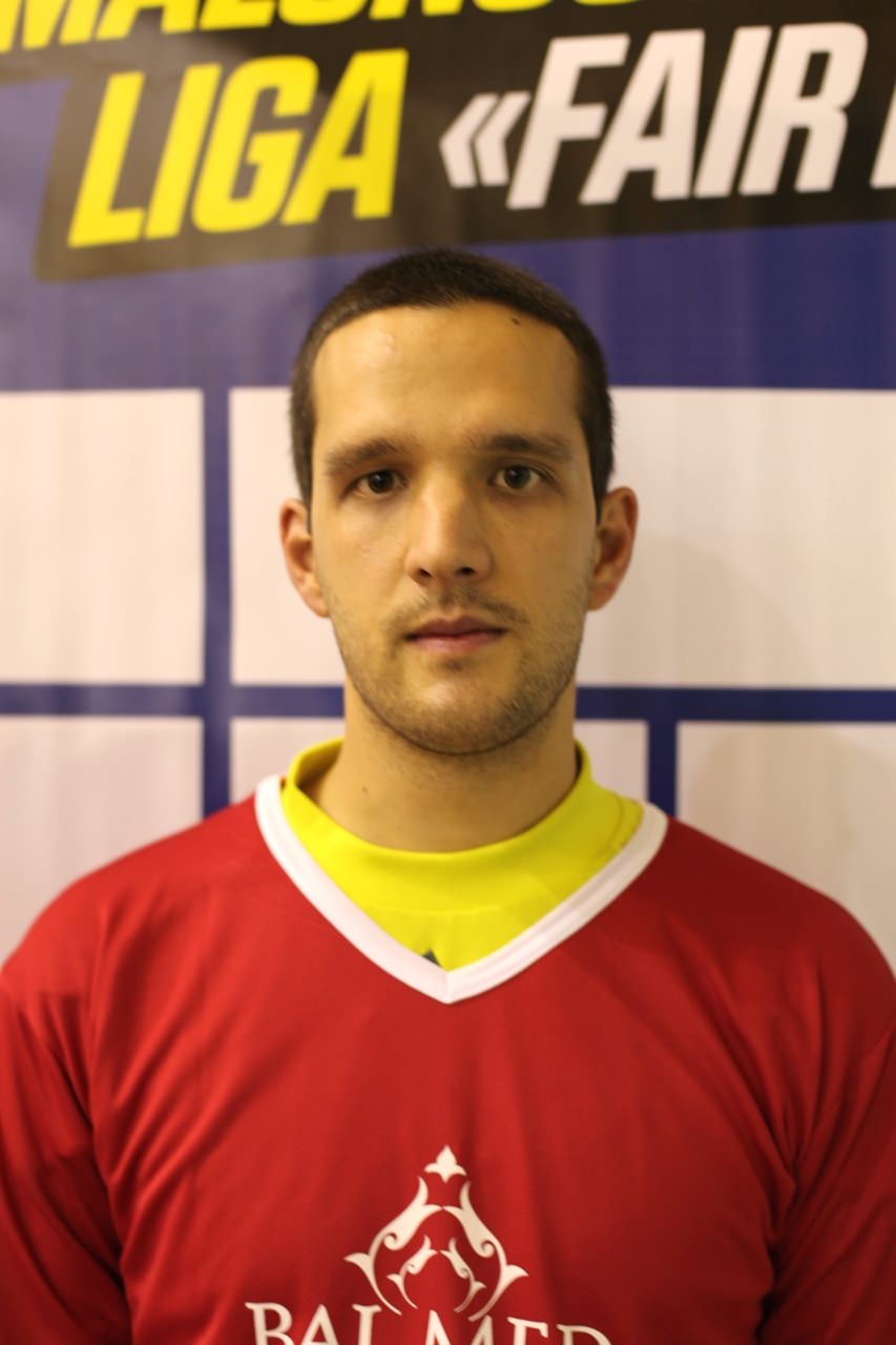 Damir Hasibovic